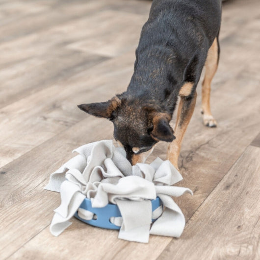 Trixie Dog Activity Hide'n'Sniff Bowl